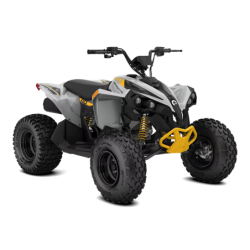 Vehículo motorizado|CAN-AM|RENEGADE MINI XXC 110 / 2024