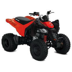 Vehículo motorizado|CAN-AM|DS-250 STD / 2024