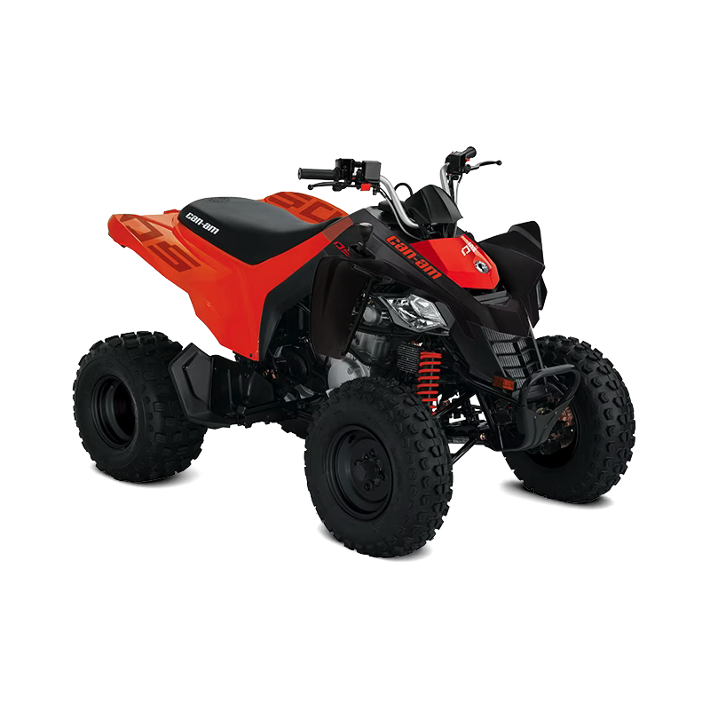 Vehículo motorizado|CAN-AM|DS-250 STD / 2024 Vehículo motorizado|CAN-AM|DS-250 STD / 2024