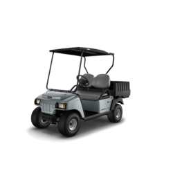 CARRYALL 100 GASOLINA 2P