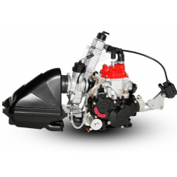 ROTAX 125 MICRO MAX EVO