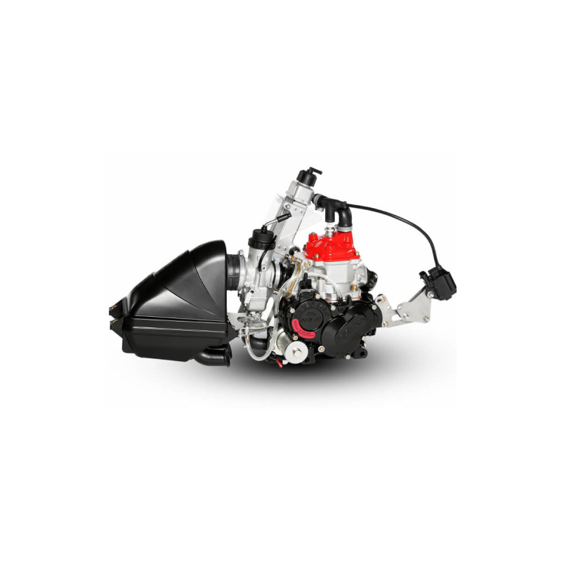 ROTAX 125 MICRO MAX EVO ROTAX 125 MICRO MAX EVO
